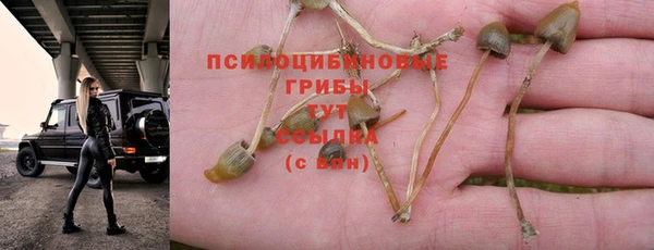 a pvp Абинск