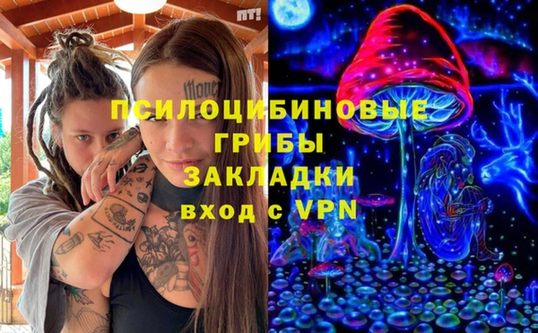 apvp Алексин