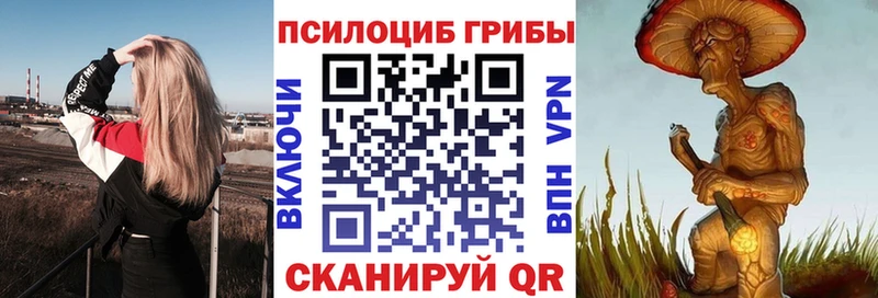 купить  сайты  Знаменск  Псилоцибиновые грибы Magic Shrooms 
