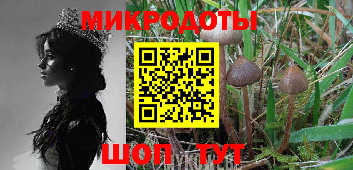 Знаменск  Галлюциногенные грибы Cubensis  Псилоцибиновые грибы MAGIC MUSHROOMS  Вход с VPN 
